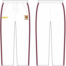Cricket pant 3.png