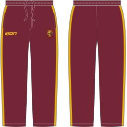 Cricket pant.png