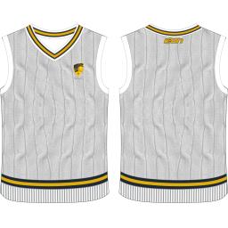 Knitted vest.png