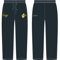 cricket pant (1).png